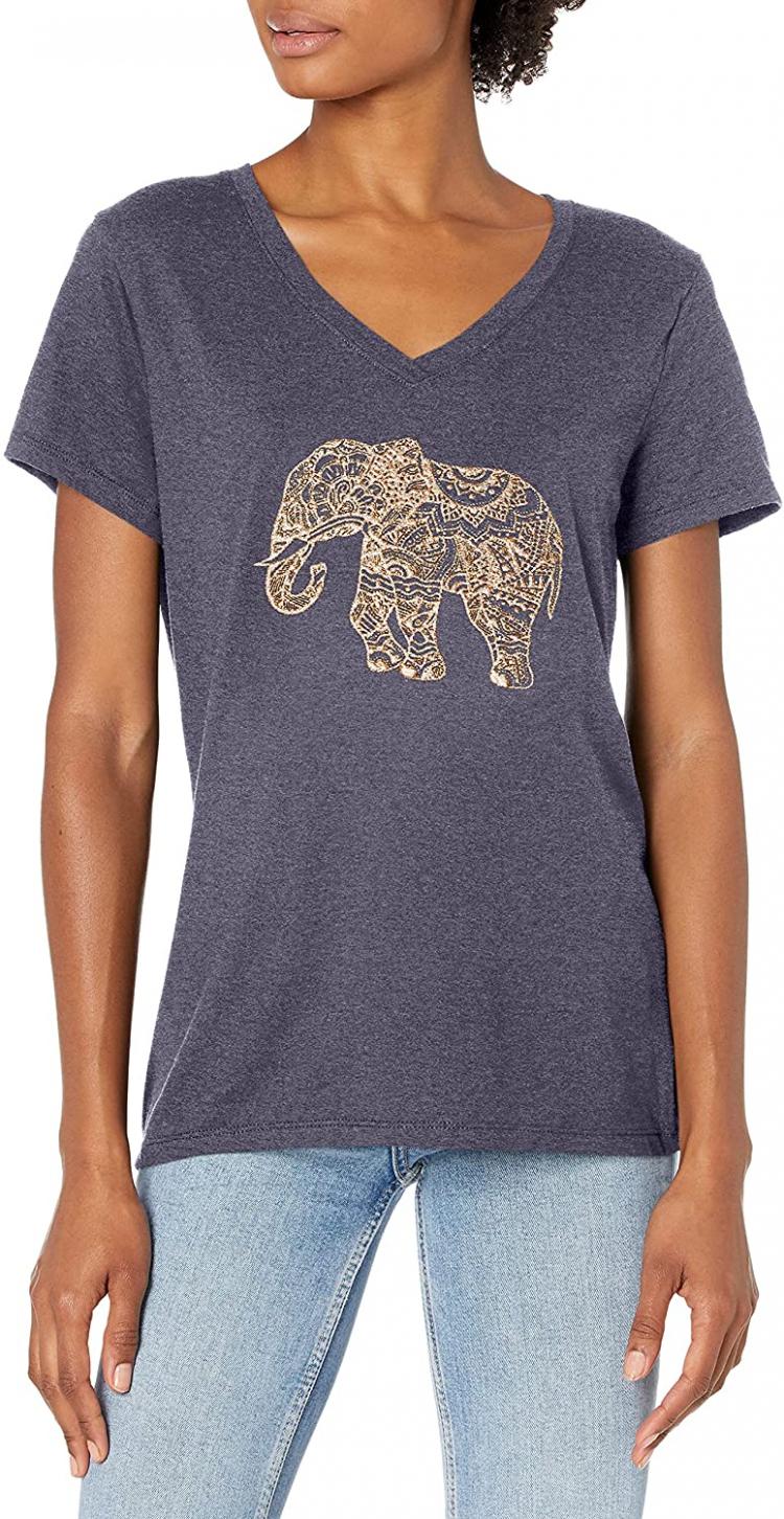 all in one place בגדי נשים Hanes Women’s Short Sleeve Graphic V-neck Tee (multiple graphics available)
