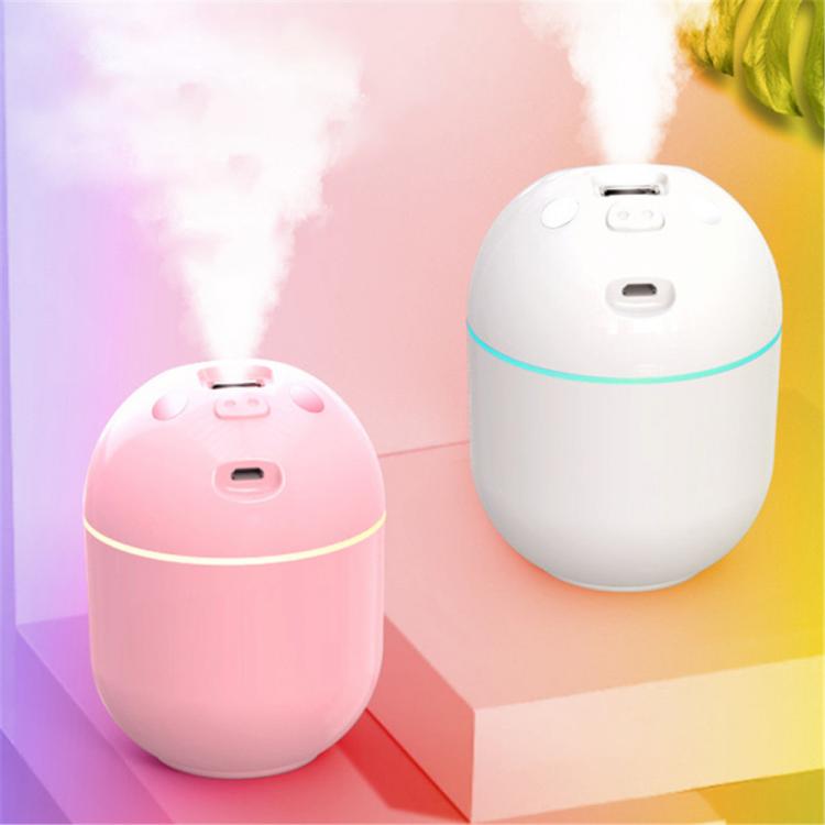all in one place אלקטרוניקה Ultrasonic Mini Air Humidifier Essential Oil Diffuser For Air Freash For Face Skin Nano Mist Sprayer With LED Night Lamp 220ml