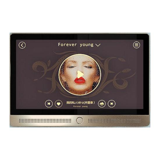 all in one place ביתית Home Theater Sound System 7 Inch ZigBee Terminal  Smart Home Background Music
