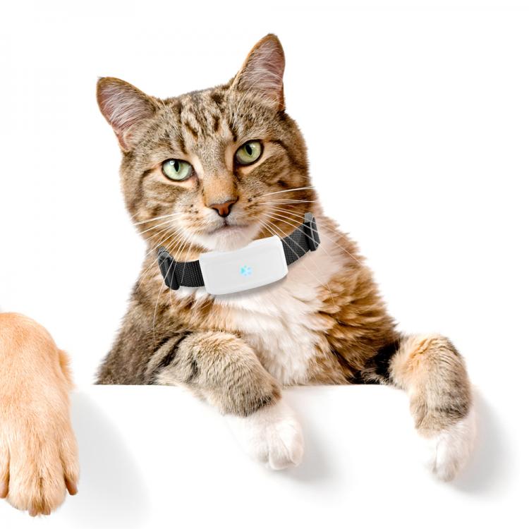 all in one place אלקטרוניקה MiNi Waterproof TK911 Pets GSM GPS Locator Tracker Rastreador Tracking for Dog Cat Real Time Free Web APP Track Alarm Device