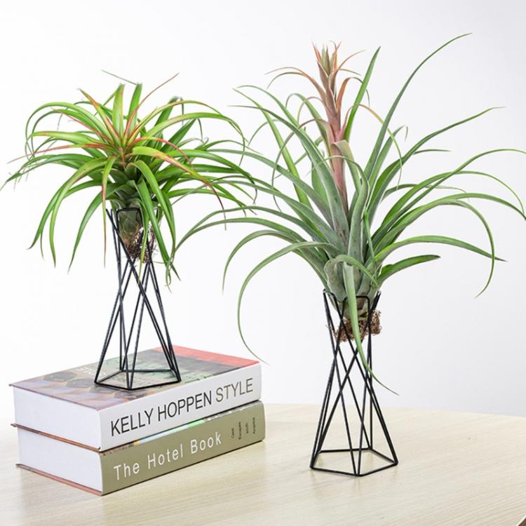 all in one place חצר וגינה Nordic Style Air Plant Holder Metal Flower Pot Stand Geometric Iron Tillandsia Holder Table Home Garden Ornaments Home Decoratio