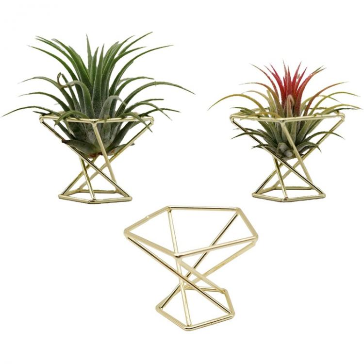 all in one place חצר וגינה 3 Pcs Geometric Air Plant Holder Airplants Rack Metal Plants Stand Planter Shelves Himmeli Decor Tillandsia Containers