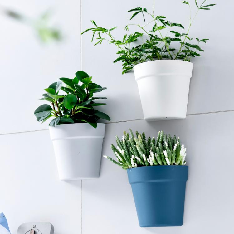 all in one place עיצוב פנים Wall-mounted flower pot simple wall-mounted succulent flower pot green radish semi-circular plastic hanging basket pot