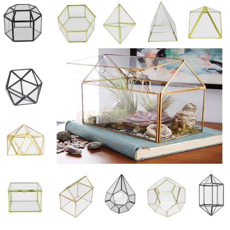 all in one place עיצוב פנים MagiDeal Various Irregular Glass Geometric Succulent Planter Vase Terrarium Container Tabletop Pot DIY Home Office Wedding Decor