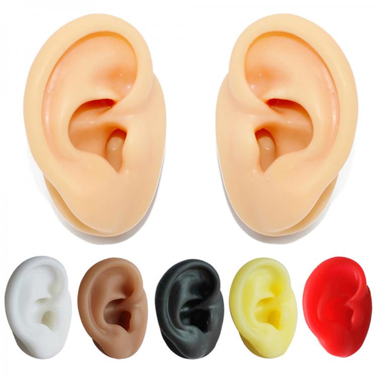 all in one place תכשיטי אופנה 1 Pieces New Silicone Ear Model Professional Practice Piercing Tools Earring Ear Stud Display Tools Can Be Reused Body Jewelry