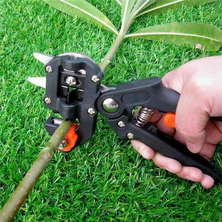 all in one place כלי עבודה Grafting Pruner Garden Grafting Tool Professional Branch Cutter Secateur Pruning Plant Shears Boxes Fruit Tree Grafting Scissor
