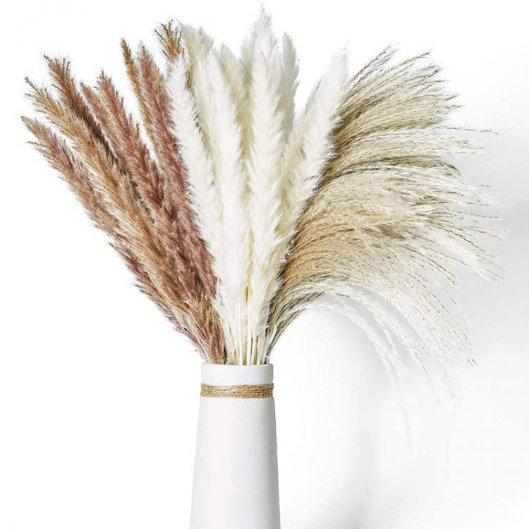 all in one place מלאכת יד 30Pcs Dried Flowers Pampas Grass Natural Plants Bouquet Lagurus Ovatus Flores Secas Wedding Home Easter Decoration Photo Props