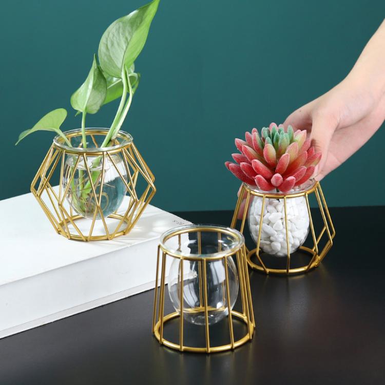 all in one place עיצוב פנים Nordic Iron Golden Hydroponic Glass Vase Creative Home Ornaments Living Room Desktop Decoration Geometric Flower Plant Vase