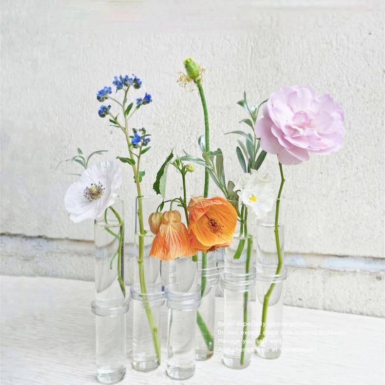 all in one place עיצוב פנים Clear Glass Vase Tubes Set Hanging Flower Holder Plant Container  Flower Vases for Homes Room Decor