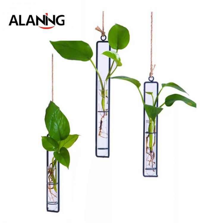 all in one place עיצוב פנים Creative Wall Hanging Flower Vase Iron Glass Transparent for Hydroponics DIY Plant Container Hanging Decoration